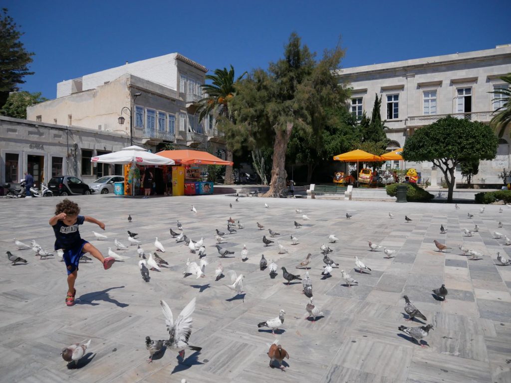 Kid playing with pigeons