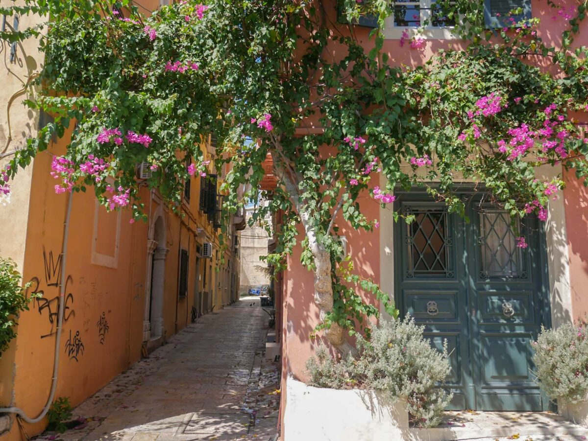 a flowery alley in Corfu